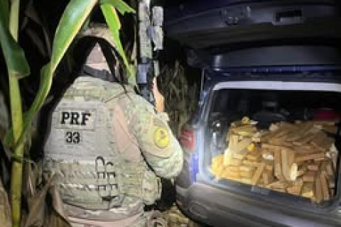 Após tentativa de fuga, PRF apreende 600 kg de maconha em Cascavel