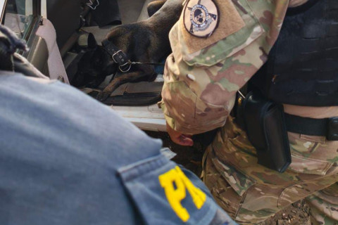 PRF apreende maconha em fundo falso de veículo